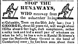 Runaway Slave
